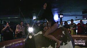 下着姿のホットな女の子たちが地元のバーで雄牛に乗っています。